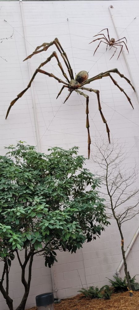 Two large metal spiders sit on a spiderweb on a wall above a green tree.