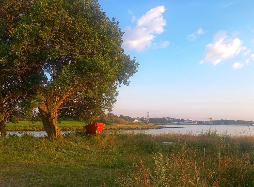 Serene bay landscape in #Norway, a nice tree and a boat can be seen on the left side