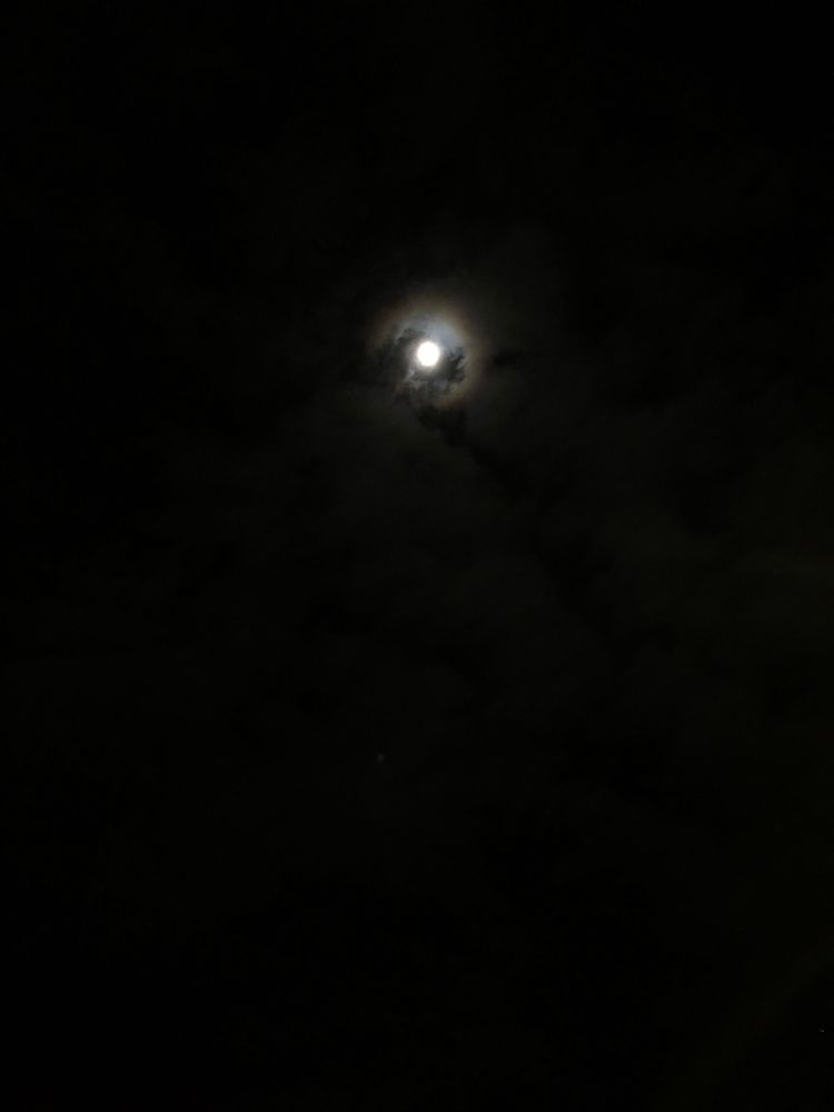 Another pic of the moon 