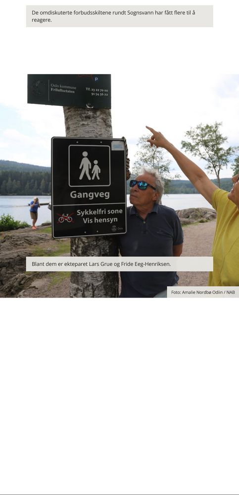 Bildet slik det fremstår inne i saken