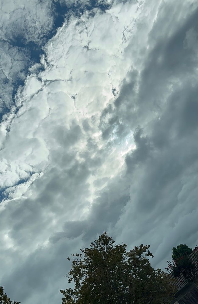 Cloudy blue sky with the sun peeking slightly . Green Trees border the bottom 