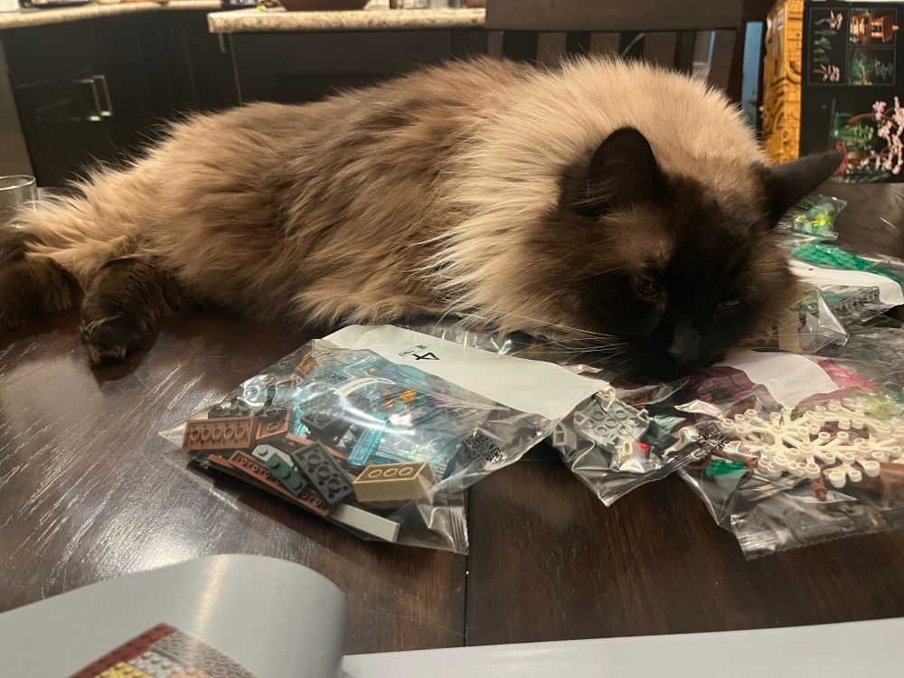 A Himalayan (and boy is him a layin’) on top of Lego pieces on the table 