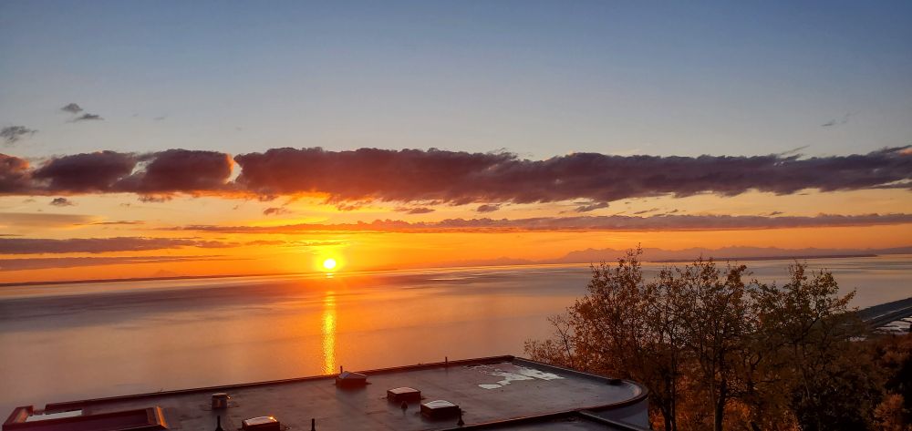 In the foreground is a roof of a home and the tops of trees. The sun is on the horizon, leaving an orange reflective line across the water and mudflats. There is a streak of purple clouds, and muted blue sky above. 
October 2024
Anchorage, Alaska 