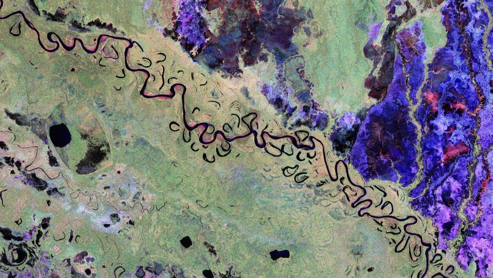Forêt Amazonienne