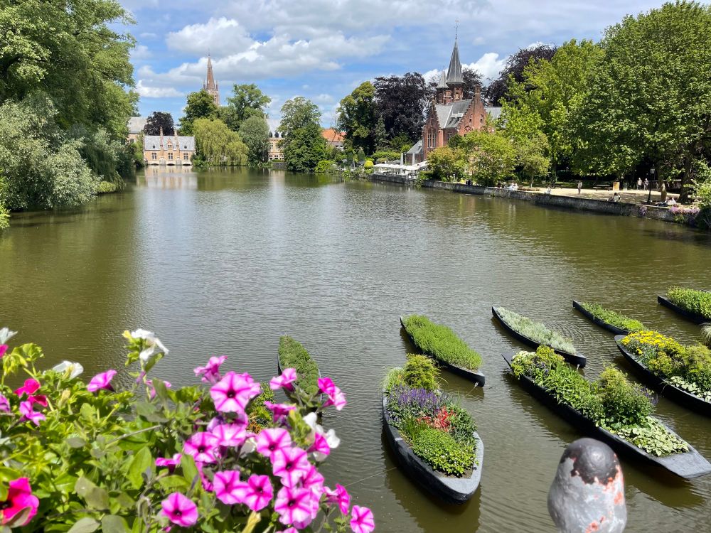 Ein Bild von einem ruhenden Gewässer. Vorne links sieht man rosafarbene Petunien, rechts vorne grün bepflanzte feststehende Bote auf dem bräunlichen Wasser. Ganz hinten sieht man mehrere  Gebäude und einen Kirchturm, am Bildrand rechts und links grüne Bäume. Der Himmel ist blau mit weißen Wolken. 