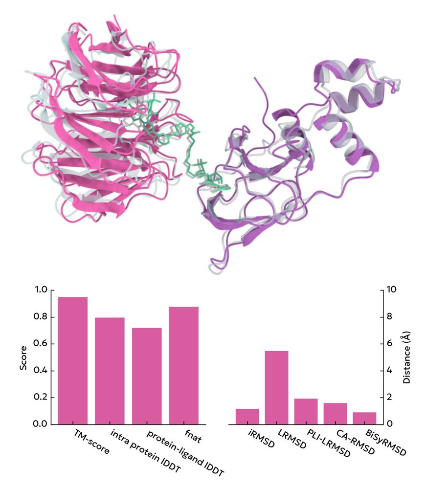 Screencap from the homepage showing various structural similarity metrics between a pose and a reference structure