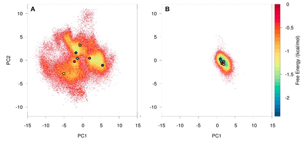 2D free energy landscape before and after affinity maturation. Features are sin/cos of CDRH3 backbone dihedrals