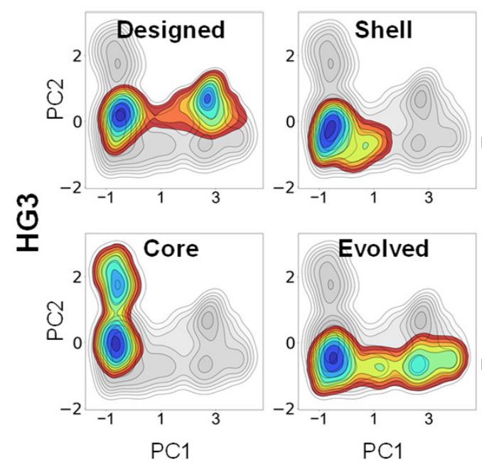 Figure from https://www.biorxiv.org/content/10.1101/2025.02.21.639315v1.full.pdf showing how mutations to the active site (labeled "core" relative to the parental, which is labeled "designed"), to second-shell residues (labeled "shell"), or both (labeled "evolved") affect the conformational dynamics of a de novo designed kemp eliminase.