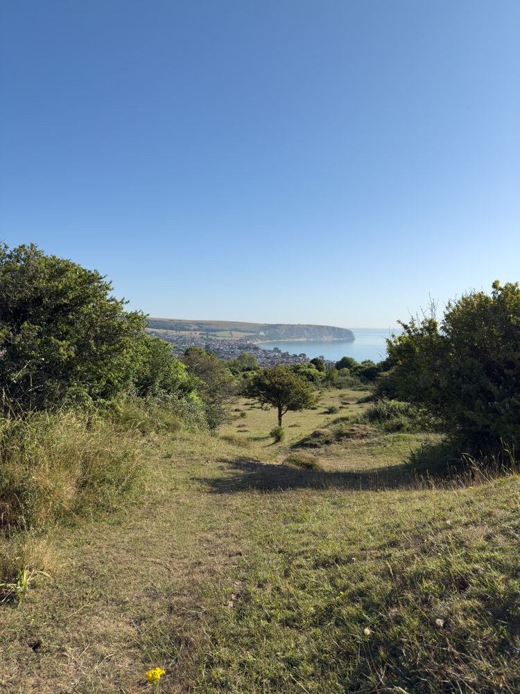 Swanage from the Townsend Nature Reserve