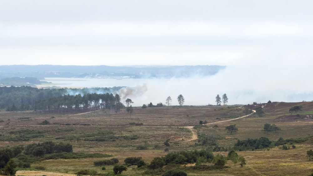Heathland Fire in Dorset
