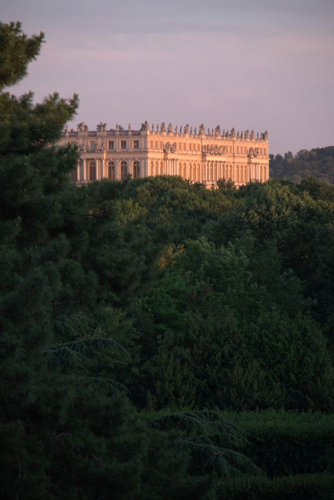 View from the room of Versailles just over the treetops as golden hour approaches
