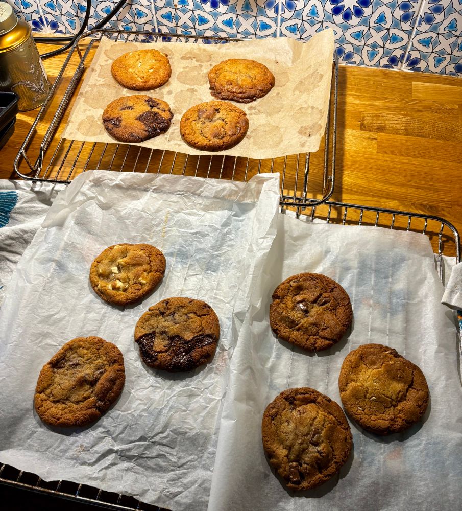 Ten chocolate chip cookies just out the oven 