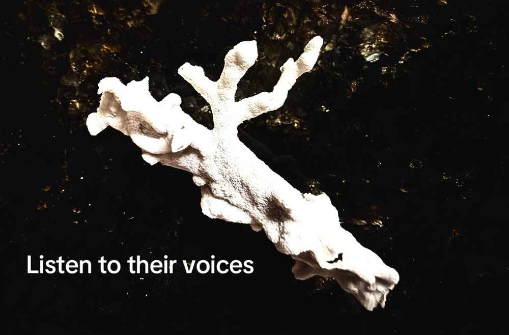 Listen to their voices.