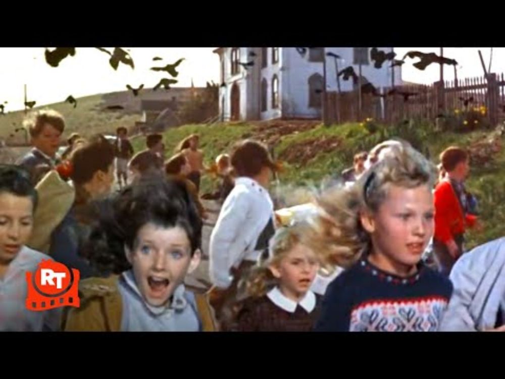 The Birds (1963) - Crows Chase Children Scene | Movieclips