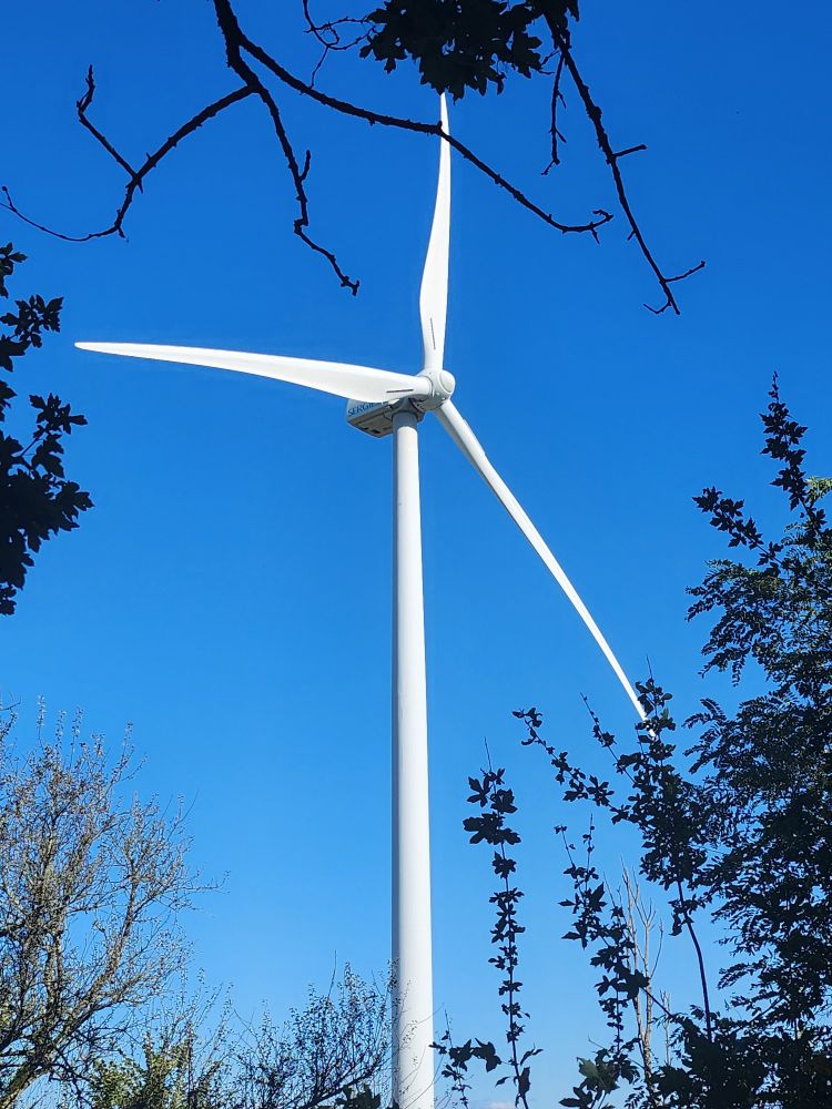 Photo d'une éolienne sur fond de ciel bleu et quelques arbres autour.