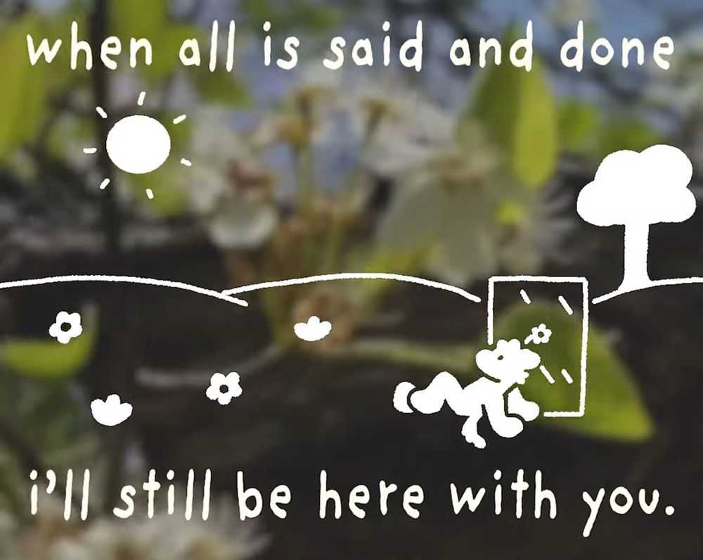 still from the feeling of seeing a flower by flower.puppy lyric video