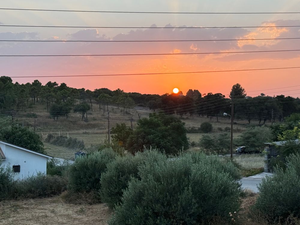 Sonnenuntergang über einer ländlichen Landschaft mit sanften Hügeln, Bäumen und einem Feld im Vordergrund. Die Sonne steht tief am Horizont, von orangefarbenen und rosa Wolken umgeben. Stromleitungen verlaufen horizontal durch das Bild. Links unten ist ein weißes Haus zu sehen, rechts führt eine schmale Straße vorbei an Büschen und Bäumen. 