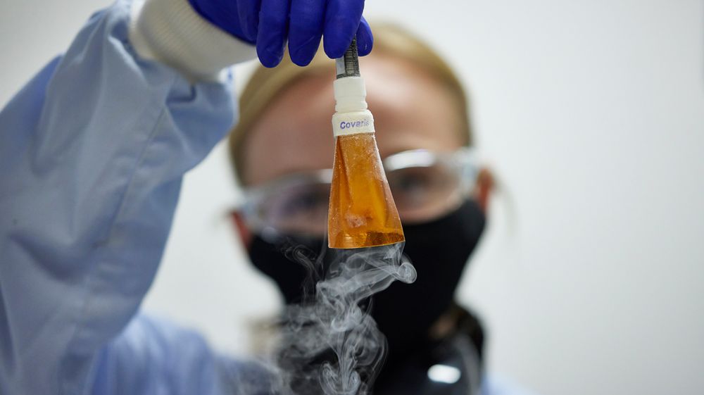 Researcher holding frozen sample for DNA extraction.