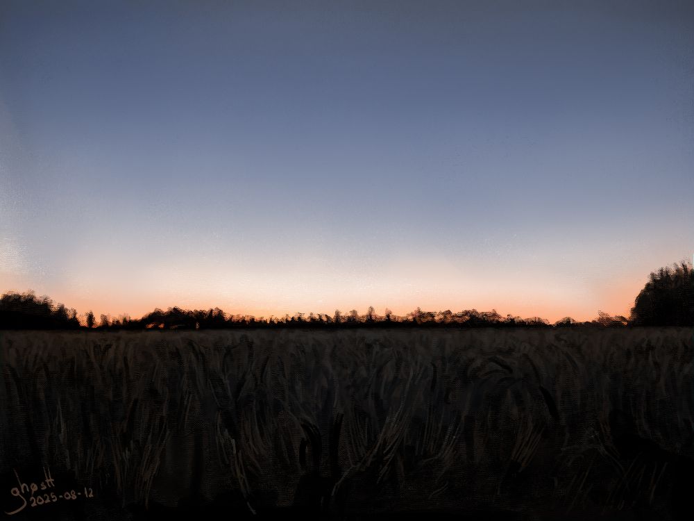 Digital painting of a wheat field at sunset. 
