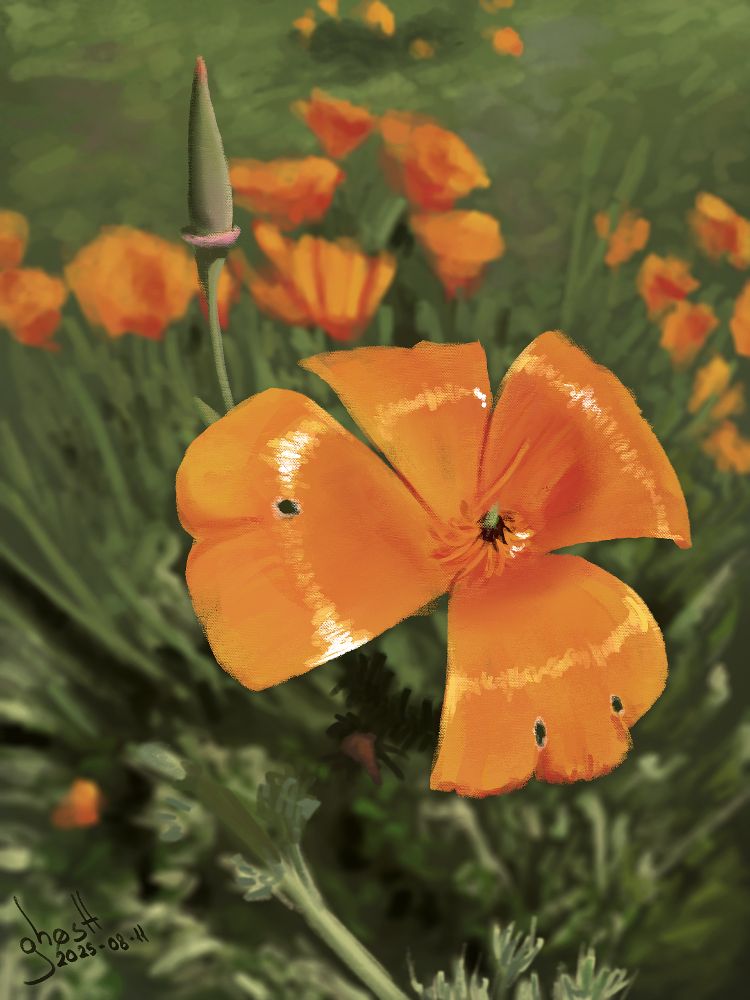 Digital painting of a bright and saturated orange flower. The rest of the flower field can be seen in the background.