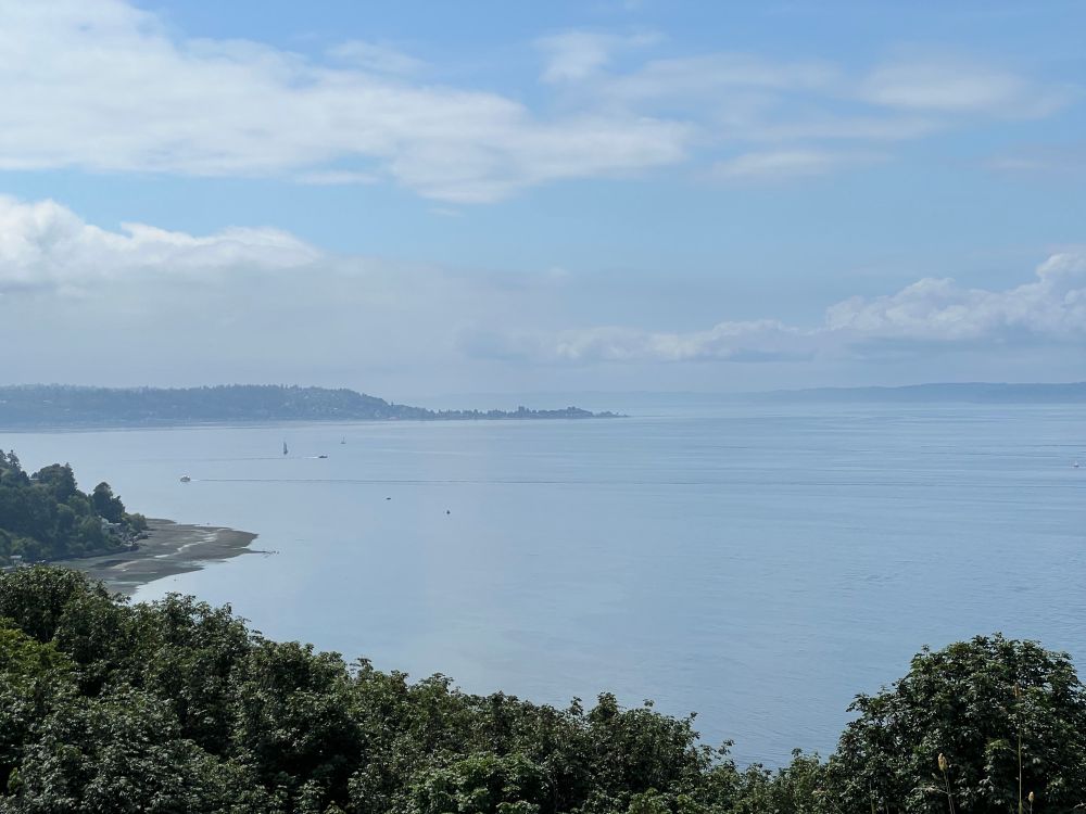A picture of the Seattle sound, taken from Discovery Park.  The picture is taken from a bluff and shows the tops.of trees then water, under a partly cloudy sky