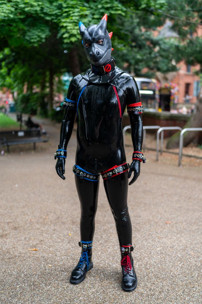 Full body shot of a black latex covered dragon with red and blue accents