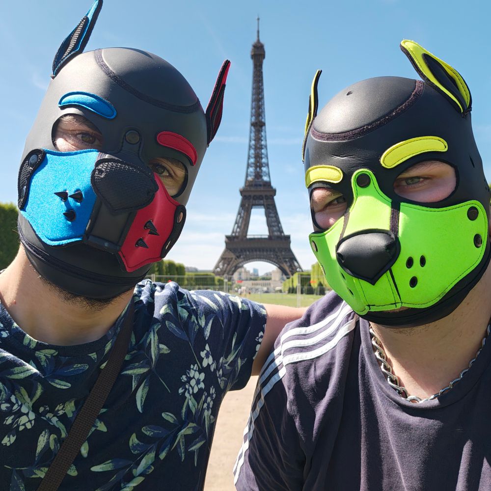 Two pups in Paris, between them in the background is the Eiffel tower.

Left is Xantw0 with a black hood with blue and red split brow and muzzle with metal spikes.

Right is Artemis with a black hood with yellow brows and light green muzzle 