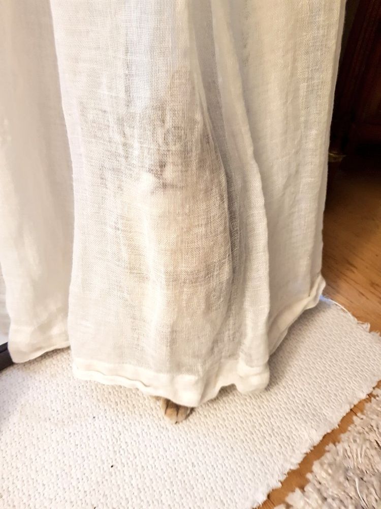 Mimo hiding behind the curtain 