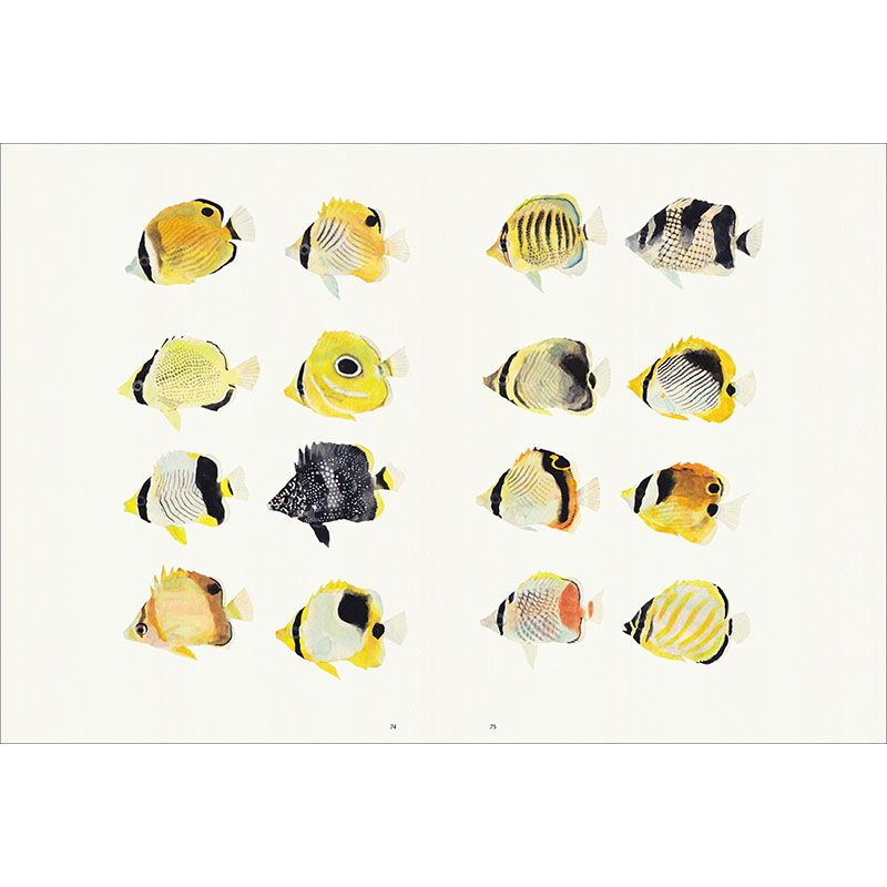 魚の譜　長嶋祐成作品集