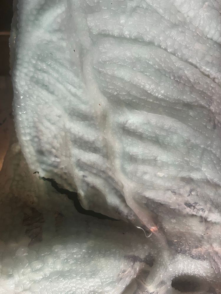 Silicone skin tear on Mina 