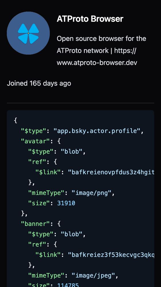 Screenshot of atproto-browser.dev profile in the app