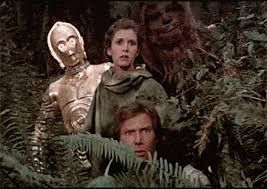 C3P0, Leia, Chewbacca, and Han Solo startled by something outside of picture, from "The Empire Strikes Back."