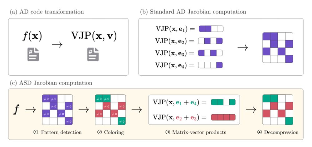 Figure comparing automatic differentiation (AD) and automatic sparse differentiation (ASD).

(a) Given a function f, AD backends return a function computing vector-Jacobian products (VJPs). (b) Standard AD computes Jacobians row-by-row by evaluating VJPs with all standard basis vectors. (c) ASD reduces the number of VJP evaluations by first detecting a sparsity pattern of non-zero values, coloring orthogonal rows in the pattern and simultaneously evaluating VJPs of orthogonal rows. The concepts shown in this figure directly translate to forward-mode, which computes Jacobians column-by-column instead of row-by-row.