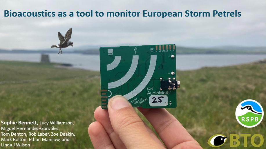Title: Bioacoustics as a tool to monitor european storm petrels. A hand holds an AudioMoth against a background of the Mousa broch and a cartoon storm petrel. The BTO and RSPB logos are on the slide and the author list headed by the presenter: Sophie Bennett
