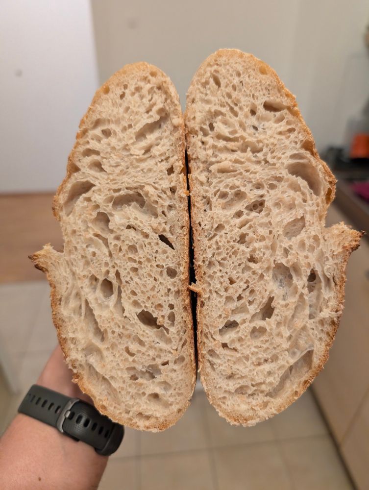 Sourdough crumbshot