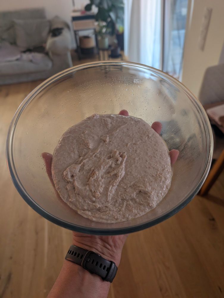 Sourdough pizza dough after the cold proofing (17h in fridge)