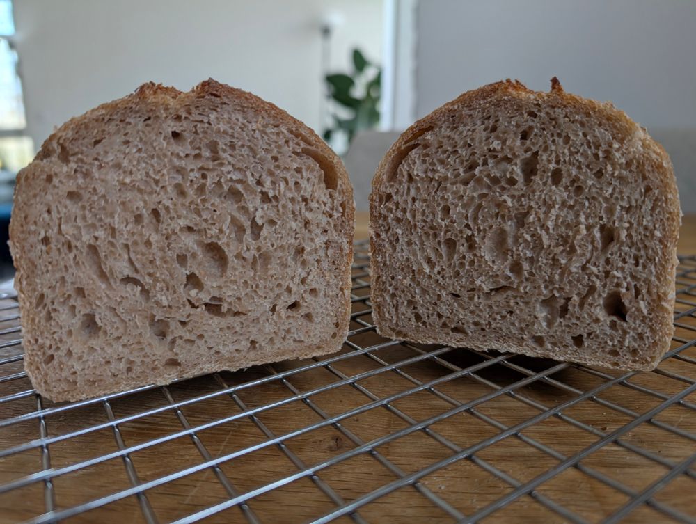 Sourdough sandwich loaf open showing the crumb 