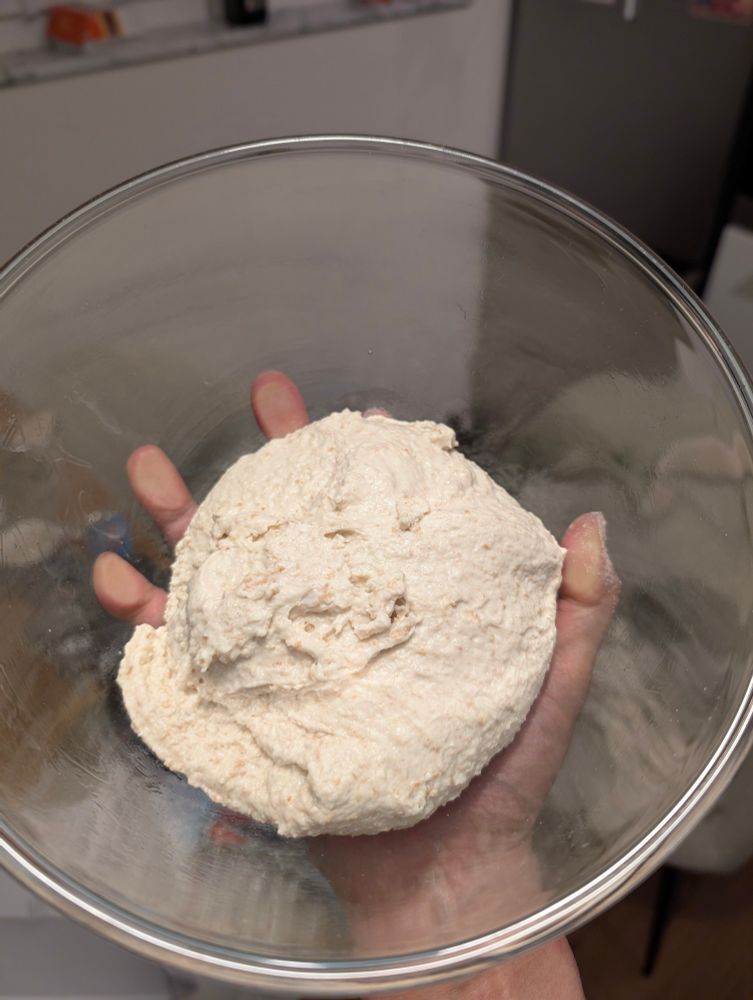 Fresh mixed sourdough pizza dough!