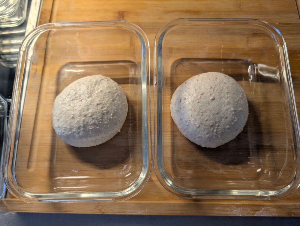 Sourdough pizza dough balls, ready for ferment more on the counter