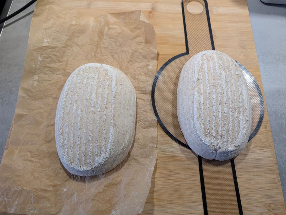 2 sourdough loaves ready to bake