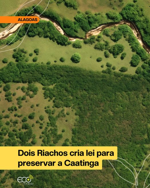 Card sobre imagem de vista aérea de uma área florestal exuberante cortada por um rio sinuoso. Linhas finas orgânicas brancas simulam folhas nos cantos superior esquerdo e inferior direito. Numa tarja laranja com letras pretas no canto superior esquerdo, lê-se 'ALAGOAS'. Na base da imagem, alinha do à esquerda, em tarja amarela com letras pretas, 'Dois Riachos cria lei para preservar a Caatinga'. Abaixo a logo ECO nordeste em tons de branco e verde-claro.