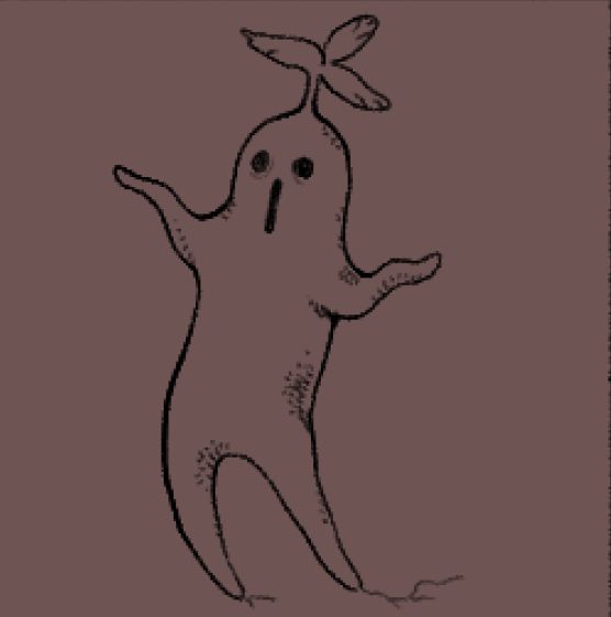A drawing of a mandragora.
