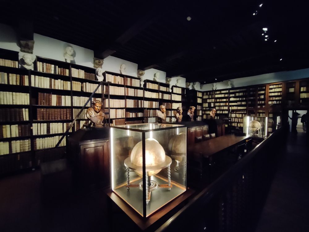 A big room with a black ceiling. There book cases stretching almost to the ceiling on all the walls. They're filled with old parchment books, bound in white and brown leather.

It's a room in the Plantin-Moretus Museum in Antwerp. Imagine multiple centuries of rich print press owners that liked to collect and show off books. This was one of their favorite rooms.

There are wooden and stone busts of classical writers on tables and on top of the book cases. Two huge globes stand on the floor.