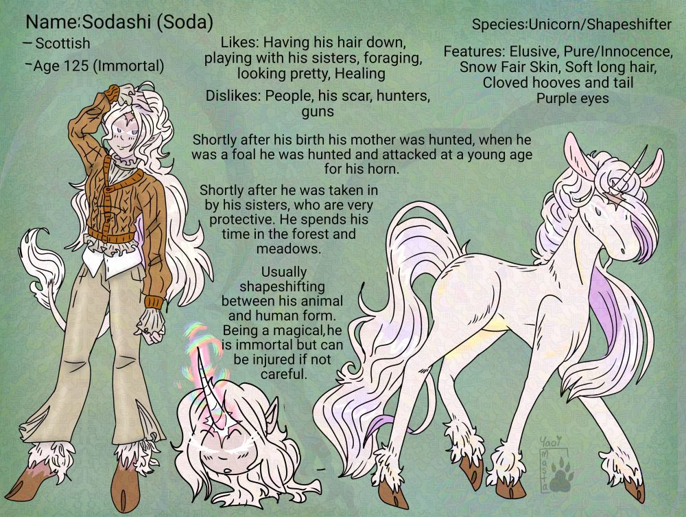 Unicorn character sheet, full body of front view and side view of his unicorn form. 