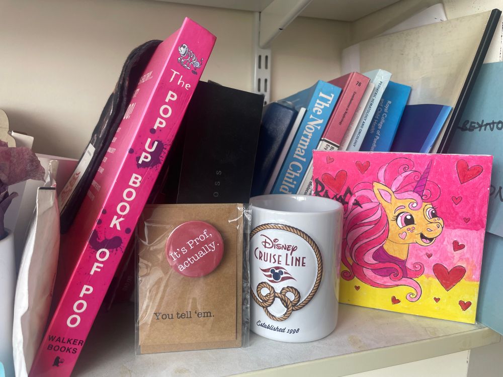 Shelf with a “book of poo” book, a Disney cruises mug, a pin badge with “It’s Prof actually” on it and a small pink painted watercolour of a smiling unicorn 