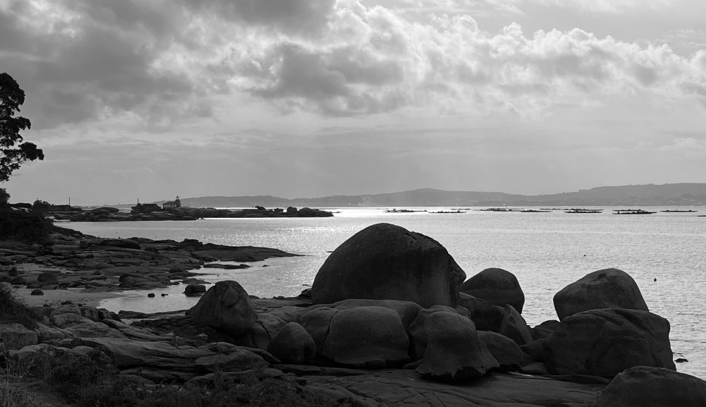 Vista da Ría de Arousa cuns cons en primeiro plano