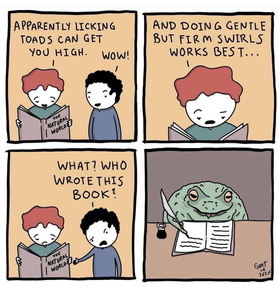 4-panel cartoon, character A reading a book says to character B

- apparently licking toads can get you high
- wow!
- ...and doing gentle but firm swirls works best...
- What? Who wrote this book?

final panel shows a toad, quill in hand, writing