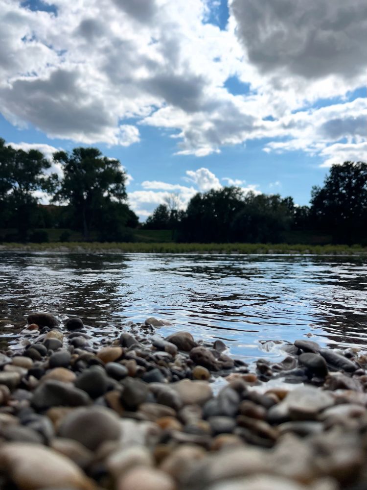 Kieselsteine im Vordergrund, das Wasser der Donau an einer ruhigen Stelle und das andere Ufer gegenüber mit Bäumen, darüber weiß-blauer Himmel