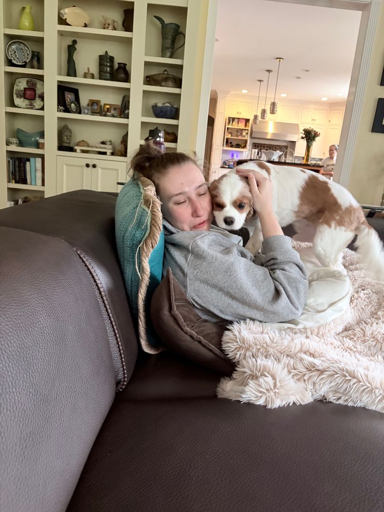 Emmy on the couch cuddling with a King Charles dog 