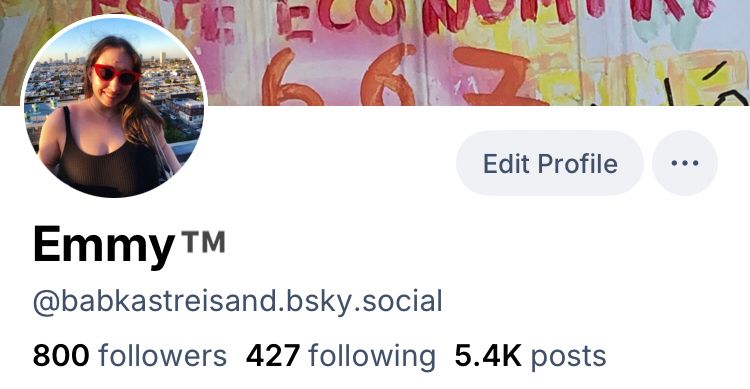 The top of my bsky profile showing 800 followers 